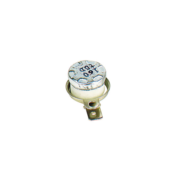 INTERRUPTEUR THERMIQUE - NO - 160°