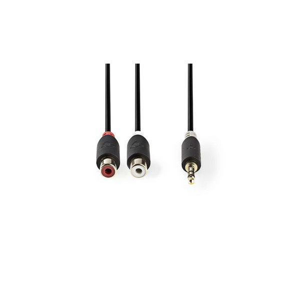 Câble audio stéréo - 3.5mm mâle vers 2 RCA Femelles 0,2m