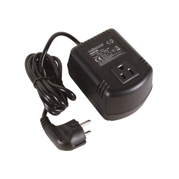 CONVERTISSEUR DE TENSION DE 220 V À 110 V, 100 W