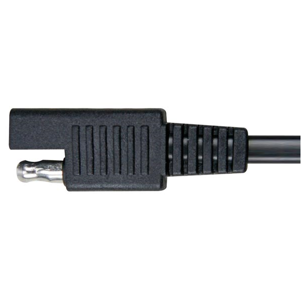 RALLONGE AVEC CONNECTEUR (1 pc)