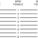DEDOUBLEUR MODULAIRE 8P8C MALE / 2 x 8P8C FEMELLE