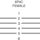 DEDOUBLEUR MODULAIRE 6P4C - 1 MALE / 2 x FEMELLE