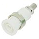 DOUILLE DE SECURITE 4MM BLANC AVEC VIS ET ECROUS M4 - ELECTRO PJP- Courant max: 36A- Tension max: 1000V Cat III / 600V Cat I DOUILLE DE SECURITE 4MM BLANC AVEC VIS ET ECROUS M4 - ELECTRO PJP- Courant max: 36A- Tension max: 1000V Cat III / 600V Cat I