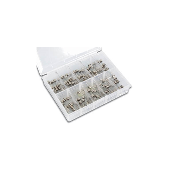 JEU DE FUSIBLES - LENTS - 100 pcs - 5 x 20 mm