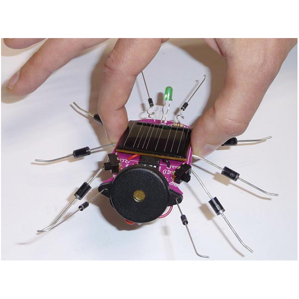 INSECTE À ÉNERGIE SOLAIRE