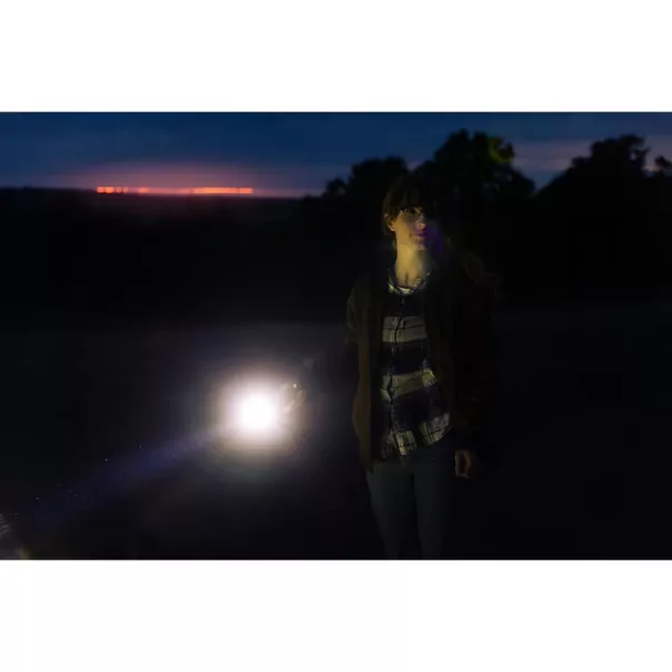 Survivor Torch Powerbank 5000 Sandberg