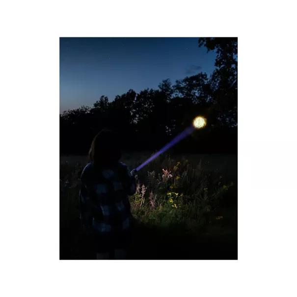 Survivor Torch Powerbank 5000 Sandberg