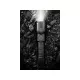 Survivor Torch Powerbank 5000 Sandberg
