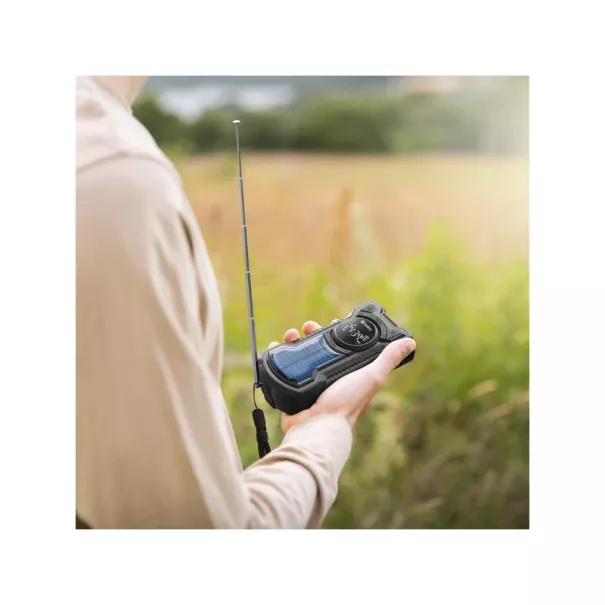 Radio Survivor All-in-15000 Sandberg