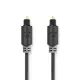 Câble audio optique - toslink mâle - toslink mâle - 2,0 m - anthracite