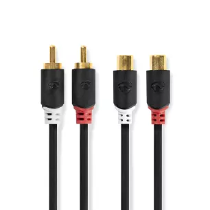Câble audio stéréo - 2x rca mâles vers 2x rca femelles de 5m